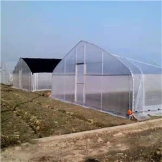 10mx36m Oval Qhov Tsev Cog Khoom