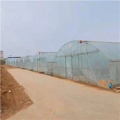Zaj Duab Xis Ib Leeg Span Greenhouse