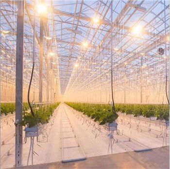 Tsev Cog Khoom Teeb Pom Kev