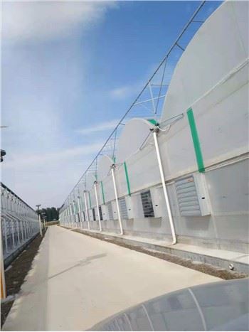 Tsev Cog Khoom Nrog Cua Txias