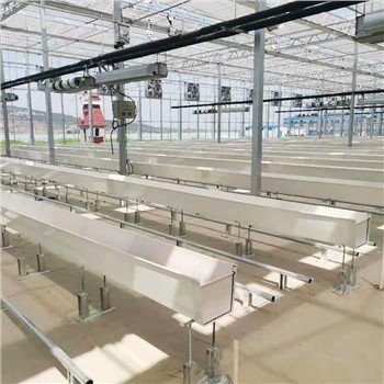 Hydroponics Loj Hlob Txhob Txhaws
