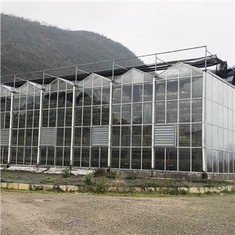 Muti-span Tsev ntsuab