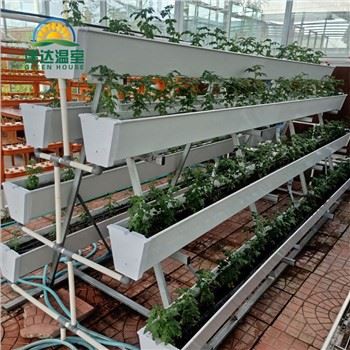 PVC Hydroponic cog Gutter