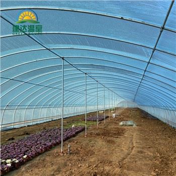 Ib Tunnel Greenhouse