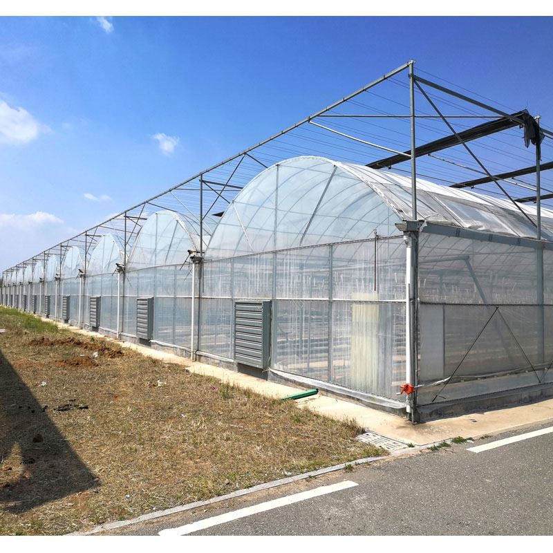 Qhov twg Lawv Ua Yeeb Yam Greenhouse Academy