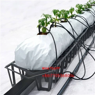 aeroponic cultivation