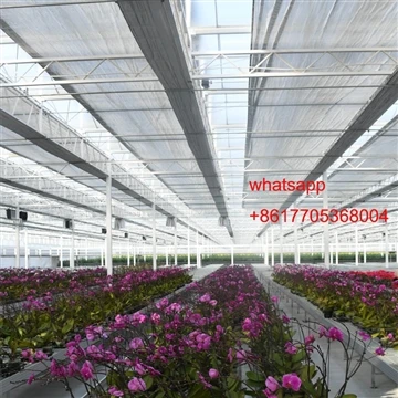 Iav Greenhouse Rau Paj tiav