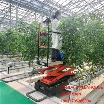 Scissor Trolley For Greenhouse