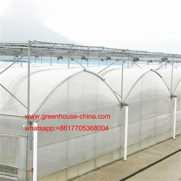 Gothic Greenhouse Taw Qhia