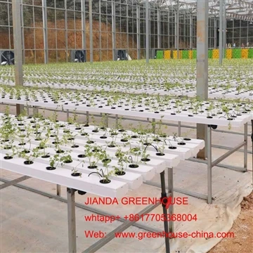 NFT HYDROPONIC Advantages