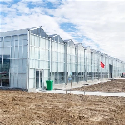 VENLO GLASS GREENHOUSE