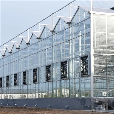 Venlo iav Greenhosue