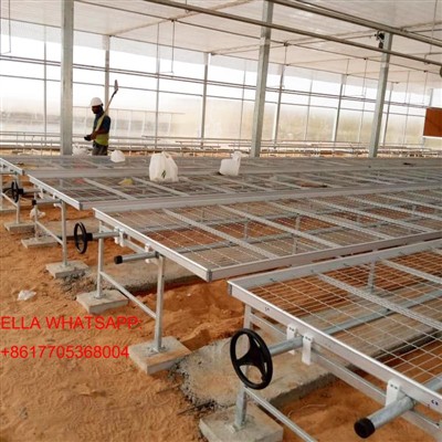 Rolling Seeding txaj