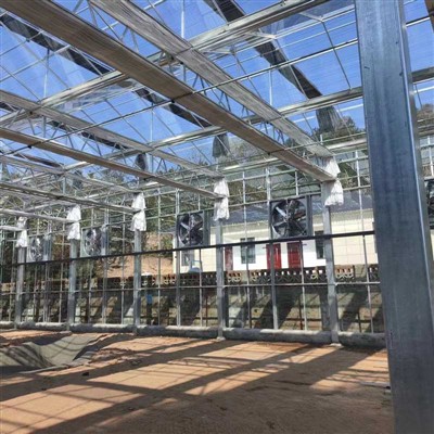 NEW GLASS GREENHOUSE