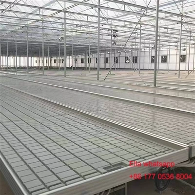 Ebb thiab ntws nft hydroponic system rau zaub