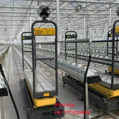 Ntau hom Tsev Cog Khoom Qauv