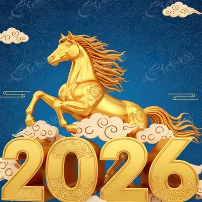 CHINA SPRING FESTIVAL HOLIDAYS CEEB TOOM